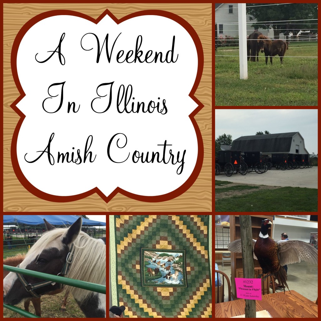 I spent an awesome weekend in Illinois Amish Country spending time with family and supporting a good cause.
