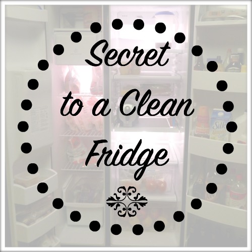 Secret to a Clean Fridge | Rhinestones & Sweatpants